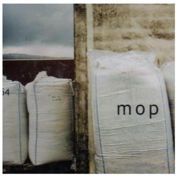 Mop