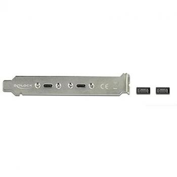Bandeja de Ranura Delock USB 3.1 Gen 2 con 2 Puertos USB Tipo-C y Cable USB de 0,5 m