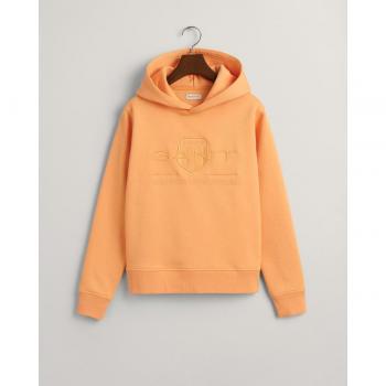 Sudadera de niño con capucha y logo bordado Gant