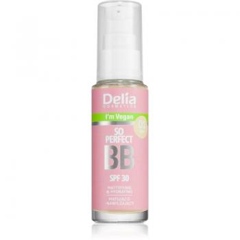 Delia Cosmetics BB So Perfect Mattifying BB Cream with Moisturising Effect Shade 01 Light 30 ml