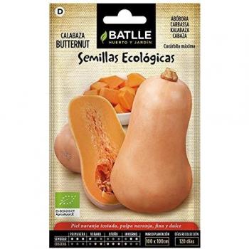 Semillas Orgánicas de Calabaza Butternut - 4g