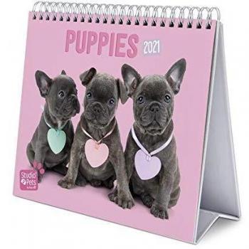 ERIK - Calendario de Escritorio 2021 Studio Pets Dogs, 17x20 cm