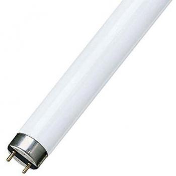 TUBO FLUORESCENTE Philips 18W, T8 590mm G13, 865 6500K