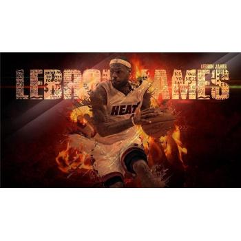 LeBron James Poster On Silk <107cm x 60cm, 43inch x 24inch> - Cartel de Seda - 348A23