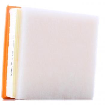 Filtro de aire PURFLUX A1538 para BMW Série 1, Série 3, Série 4 y Série 2