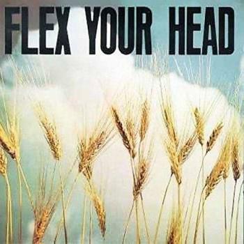 Flex Your Head A DC Sampler VINYL