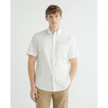 Rushmore Camisa de Hombre Non Iron - Camisa de hombre sin arrugas, tejido fácil de cuidar, diseño clásico, ajuste regular, disponible en varios colores y tallas