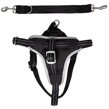 Harnais de sécurité - Protección para Perros