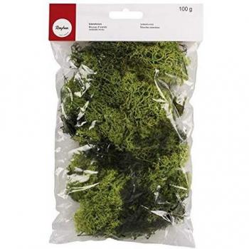Mousse de Islandia Verde Claro - Rayher - 100 g - Material Natural - Decoración Creativa