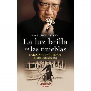 luz brilla en las tinieblas, La. Cardenal Van Thuan: Historia de una esperanza