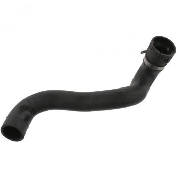 Manguera de Refrigerante Inferior FEBI BILSTEIN 36146