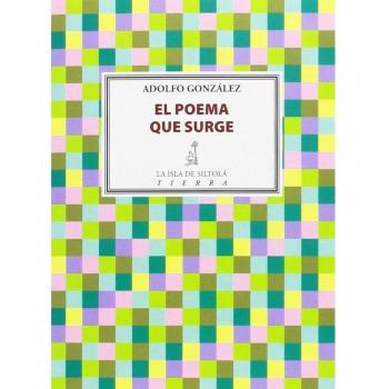 EL POEMA QUE SURGE