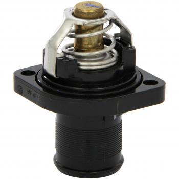 BEHR THERMOTTRONIK Termostato refrigerante