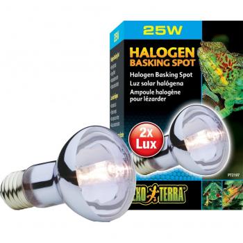 Exo Terra PT2197 Halogen Basking Spot, 25 Watt
