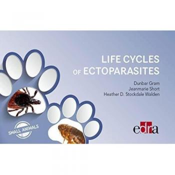 Life Cycles Of Ectoparasites In Small Animals - Veterinary Books - Editorial Servet