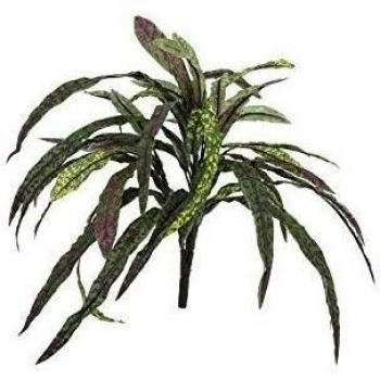Planta Croton Goldfinger artificial con 40 hojas, en vara, 40 cm - planta artificial / decoración - artplants