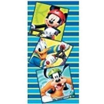 DISNEY-1 070x140 MICKEY T.PLAYA