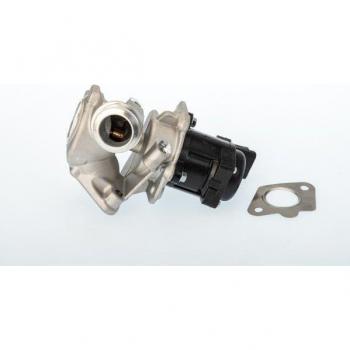 Válvula EGR BorgWarner Wahler 711020D