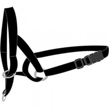 Flamingo Easy Leader collar antitirones perros