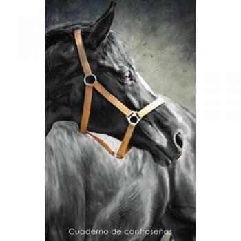 Cuaderno de contraseñas: Libro de registro de direcciones y contraseñas en internet - Cubierta de caballo negro