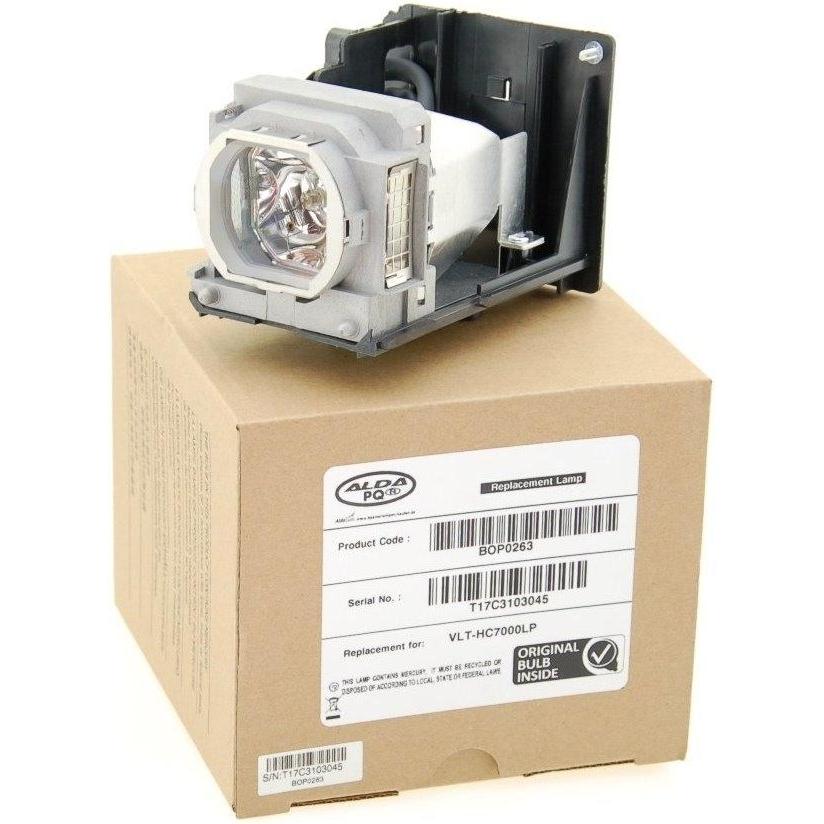 Imagen Principal