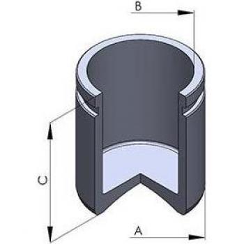 Émbolo de pinza del freno AUTOFREN SEINSA D025792, trasero