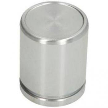 Émbolo de pinza del freno AUTOFREN SEINSA D025702, Delantero, Piston para caliper de freno