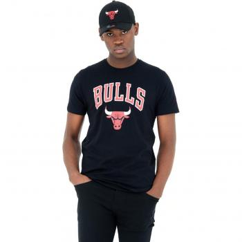 Camiseta New Era NBA Regular Tee Chicago Bulls