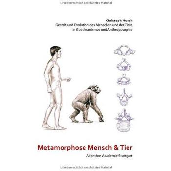 Metamorfosis del Ser Humano y Animal: Forma y Evolución en Goetheanismo y Antroposofía