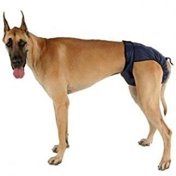 Integrated Pet Solutions SnuggEase Lavable del pañal del Perro - Dos Pack - XX-Large