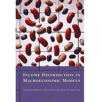 Princeton Macroeconomic Income Distribution Analysis