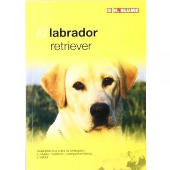 EL LABRADOR RETRIEVER