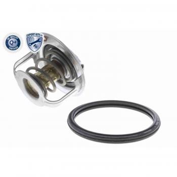 Termostato de Refrigerante ACKOJA A64-99-0009