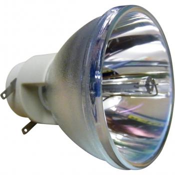 OSRAM P-VIP 330/1.0 E20.9