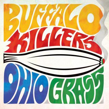 Ohio Vinyl Grass Mat