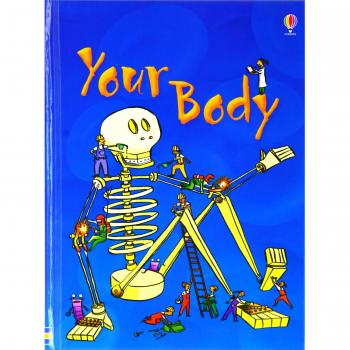 Tu Cuerpo (Principiantes)