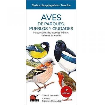Aves de parques, pueblos y ciudades