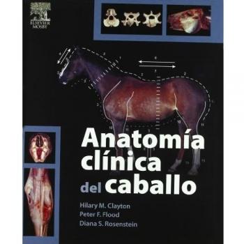 Anatomía clínica del caballo