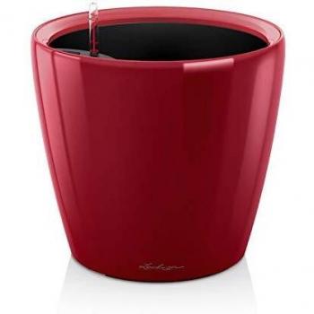 Lechuza Maceta, Classico Premium