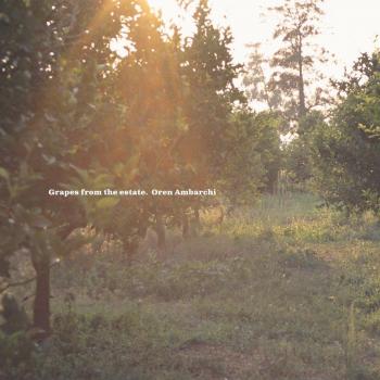 grapes from the estate oren ambarchi dlp [Vinilo] - Oren Ambarchi