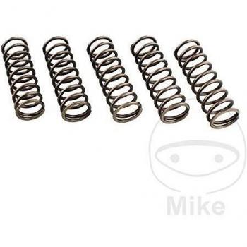 Kit de Muelles de Embrague Reforzados EBC CSK240 (6 Piezas)
