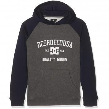 DC Shoes Headphase Ph Raglan Boy Sudadera, Niños, Gris