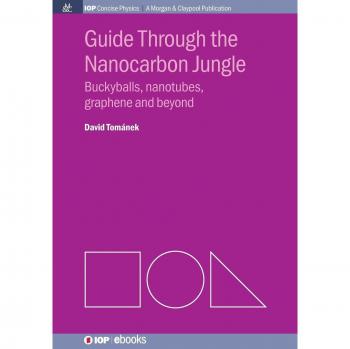 Guía a Través de la Selva Nanocarbono: Buckyballs, Nanotubos, Grafeno y Más (Física Concisa IOP: Publicación Morgan & Claypool) - Edición en Tapa Blanda