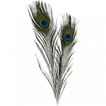 Plumas de Pavo Real L: 25-30 cm, 10 Unidades
