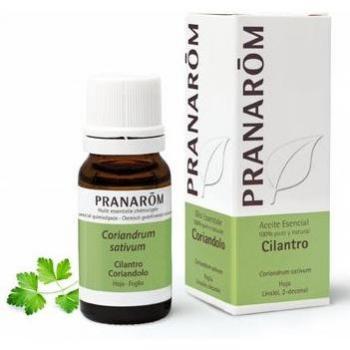Aceite Esencial de Cilantro 10ml - Purifica y Refresca el Aire