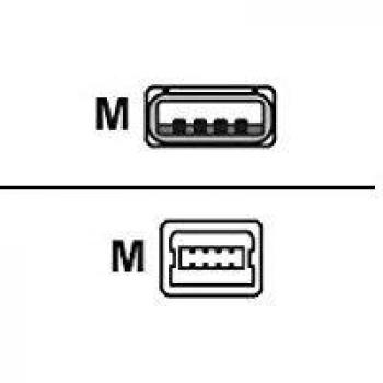 Cable USB 2.0 A a B de 3.00m LogiLink