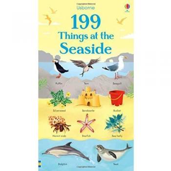 199 cosas en la playa - libro ilustrado, 199 elementos relacionados con el mar y la costa, actividades para niños, aprendizaje sobre el entorno marítimo, imágenes coloridas y atractivas