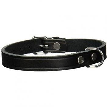 Trixie Collar básico 19321, Talla S, 28 a 34 cm, 14 mm, Color Negro