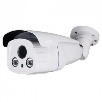 Cámara de vigilancia CV621Z-F4N1