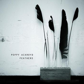 Feathers VINYL